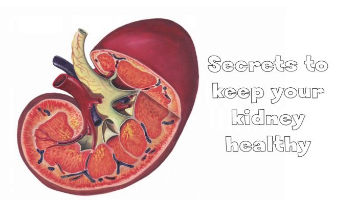Secrets to keep your kidney healthy