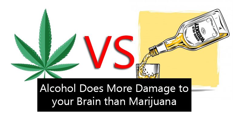 Alcohol Does More Damage to your Brain than Marijuana