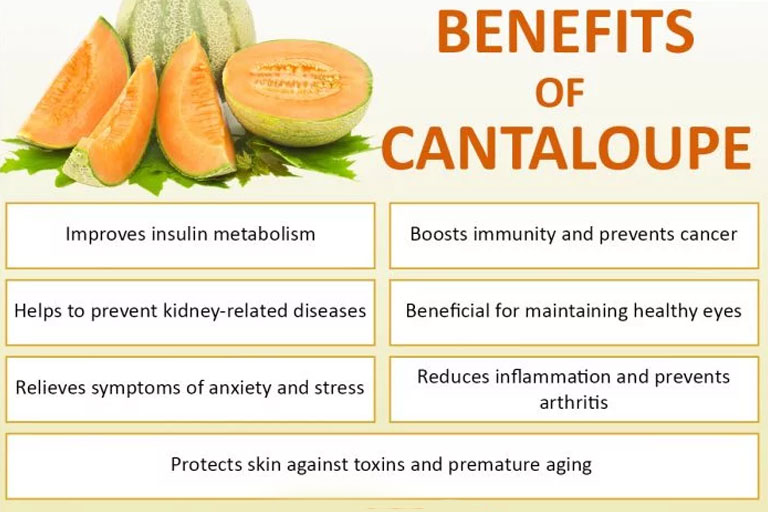 Top Health Benefits Of Cantaloupe For Human Health ...