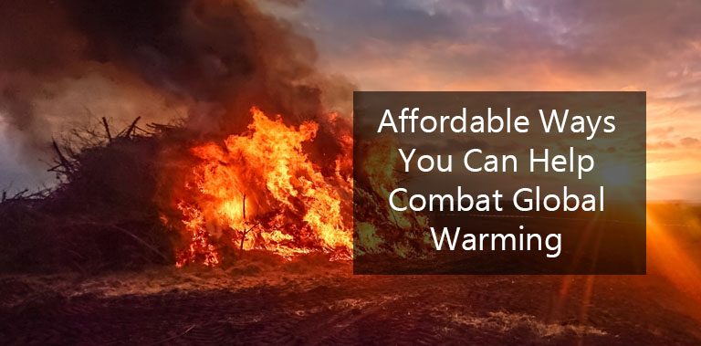Affordable Ways You Can Help Combat Global Warming