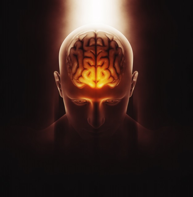Is it true that we only use ten percent of our brain? 
