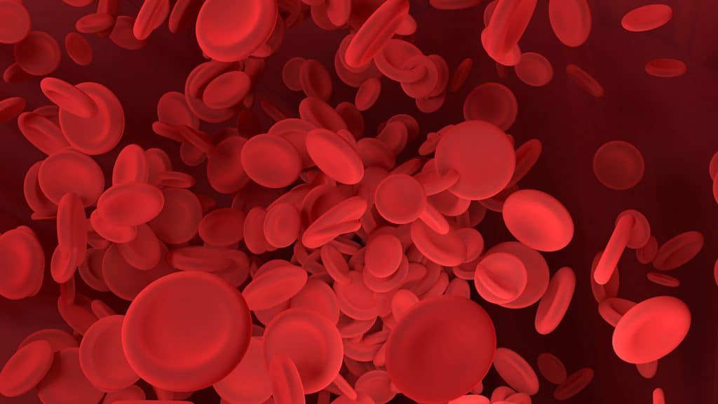 How To Keep Your Blood Healthy? Doctor ASKY