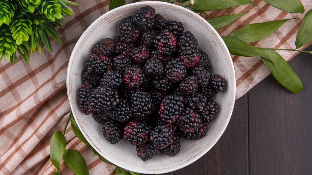 Health Benefits Of Blackberries Doctor ASKY